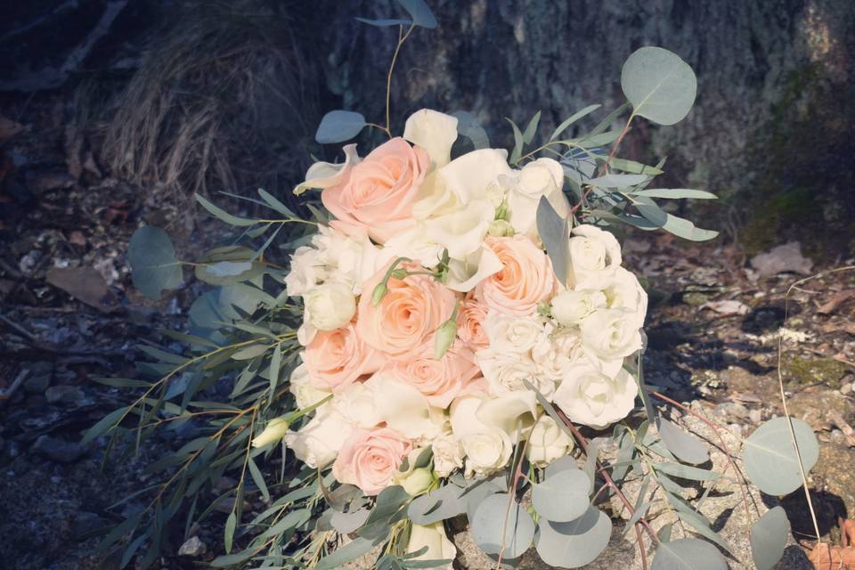 Cream and pink flowers