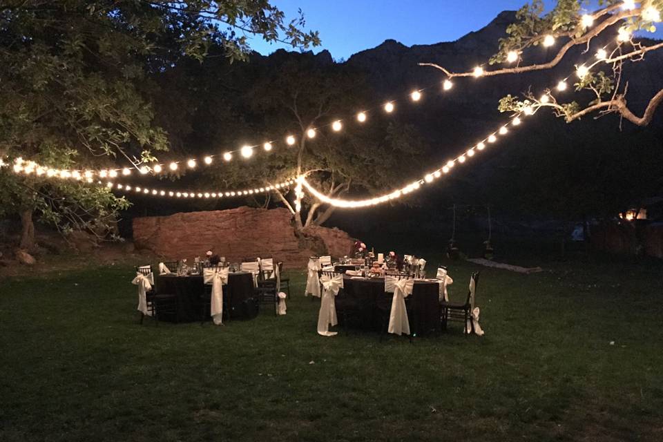 Wedding lights