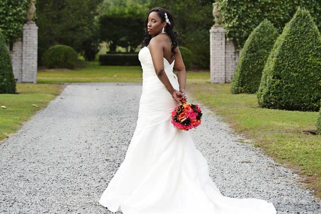 Alicia Hite Photography