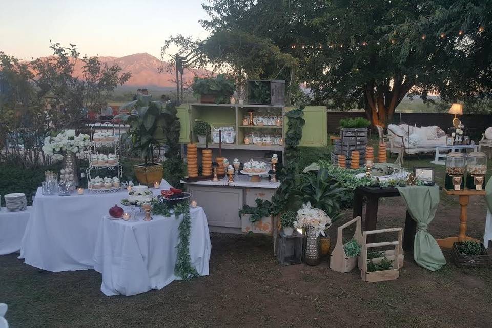 Tracy's Tucson Catering