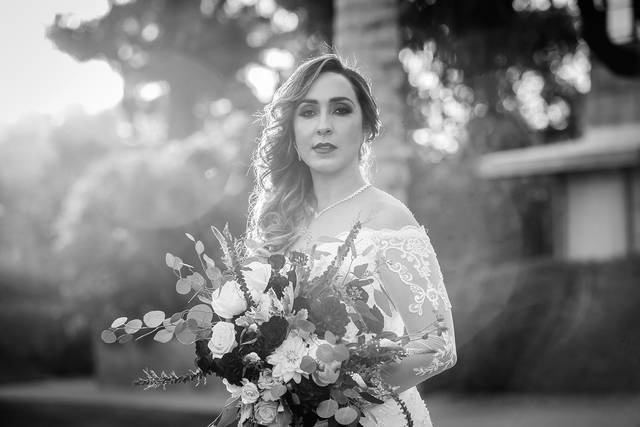 Biltmore Arizona Wedding