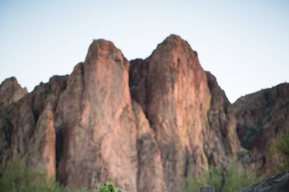 Arizona Wedding
