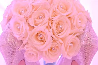 Arizona Wedding