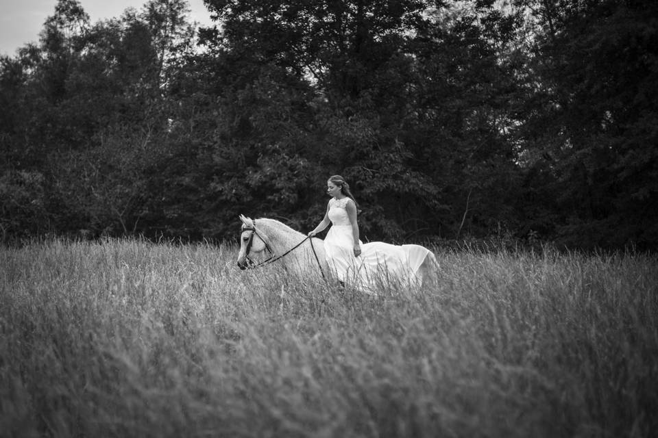 Bride and Horse photo shoot