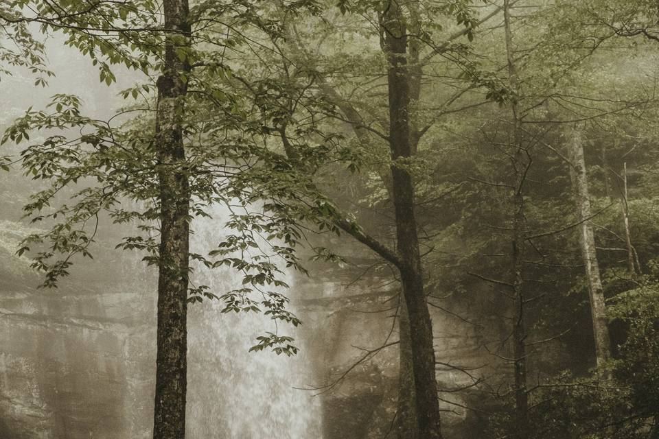 Engagement in the smokies