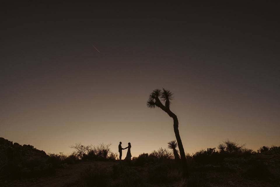 Joshua Tree