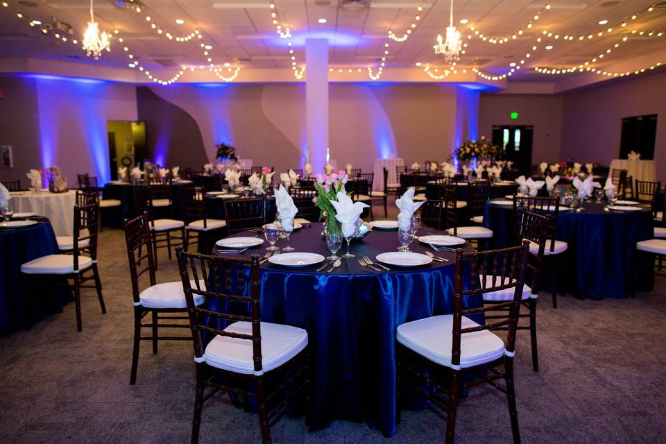 Elegant reception setup