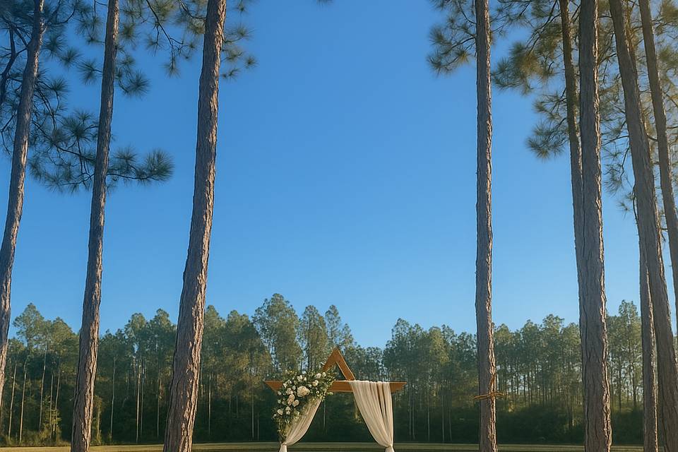 Outdoor Wedding