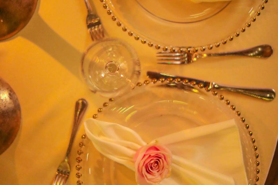 Cristal Plates for Wedding Rec