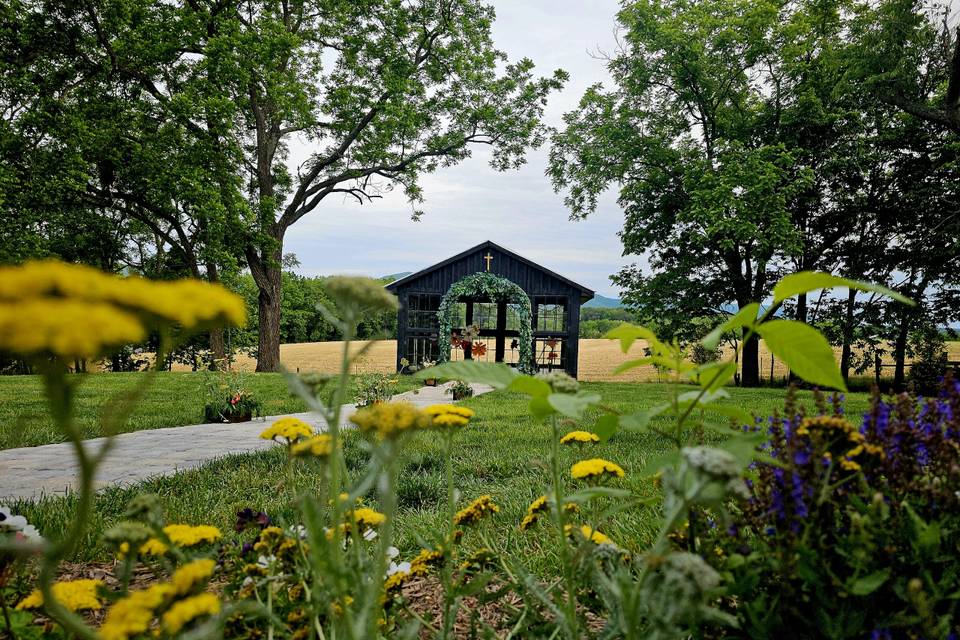 Spring on the farm