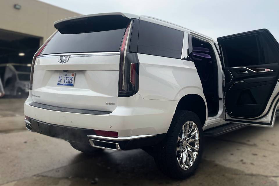 Rear View of our Cadillac Limo