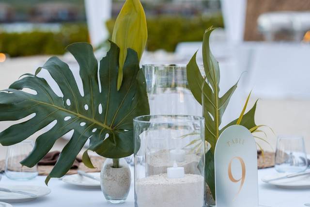 Pro-Vision Digital Production