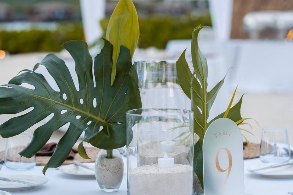 Pro-Vision Digital Production