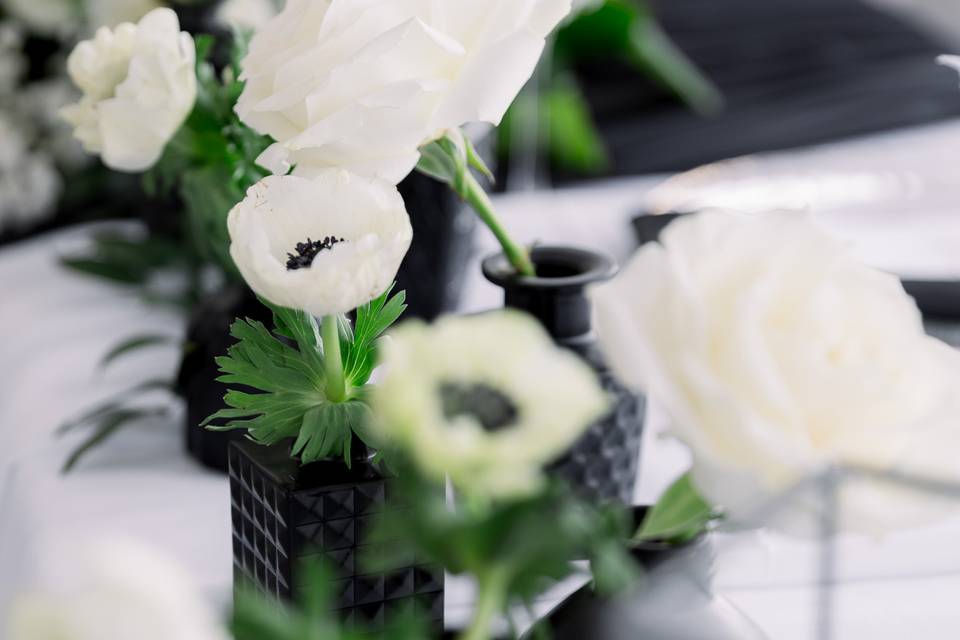 070A9467.jpg