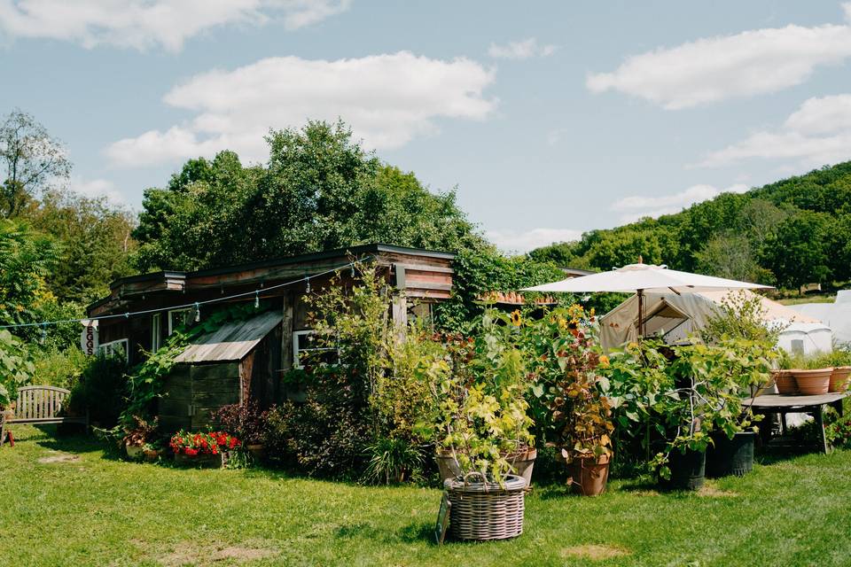 Flowers by the Hut