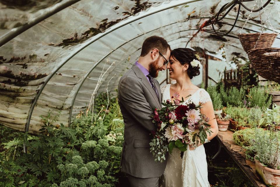 Inside the Greenhouses