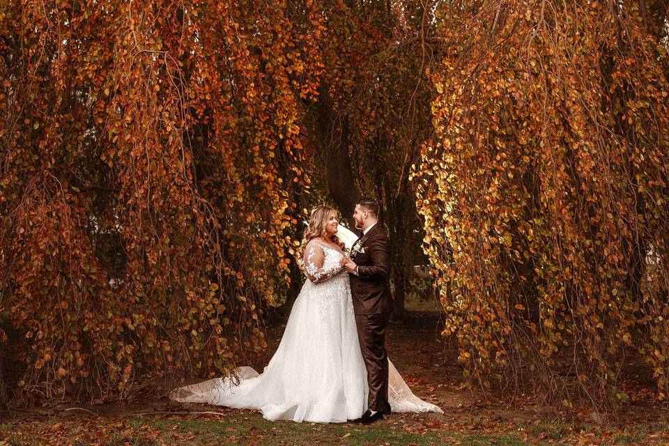 Fall wedding with tree