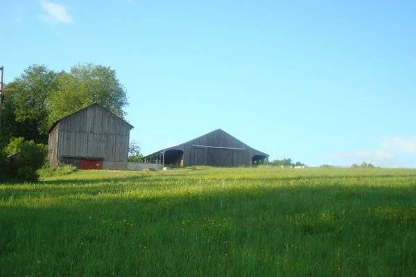 Our barn overlooking 130 acres of country.