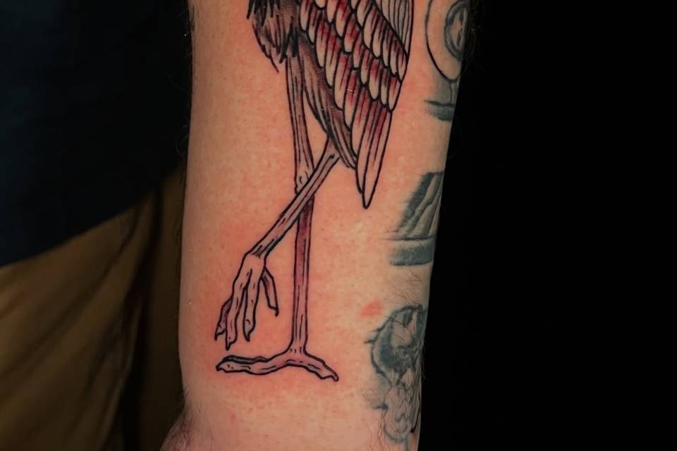 Shark Tooth Tattoo
