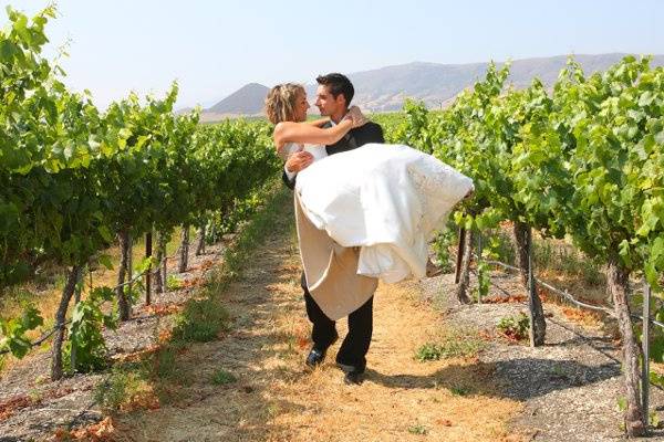 Edna Valley Vineyard bride & groom in vineyard