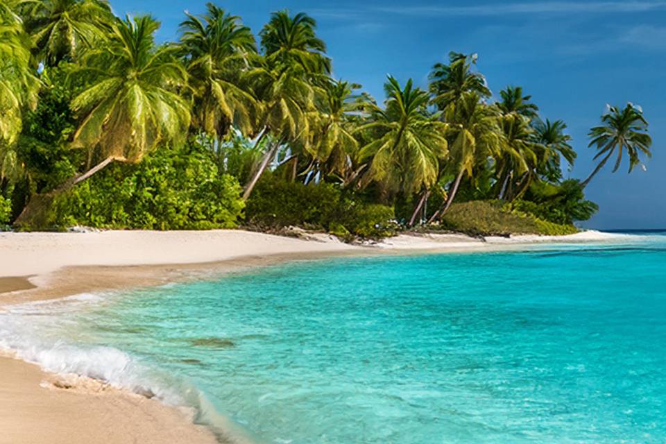 Beaches
