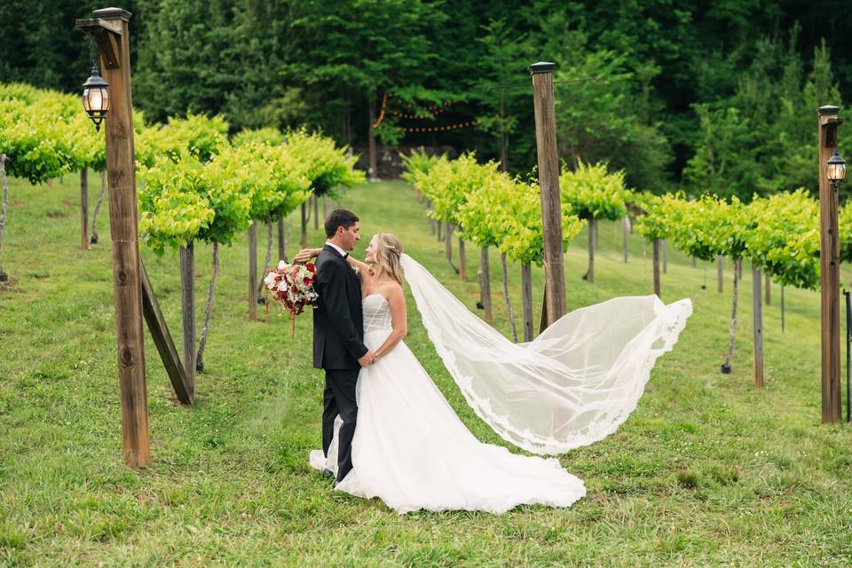 Vineyard Couples Portrait