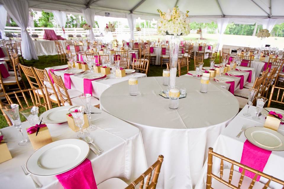 Wedding under a tent