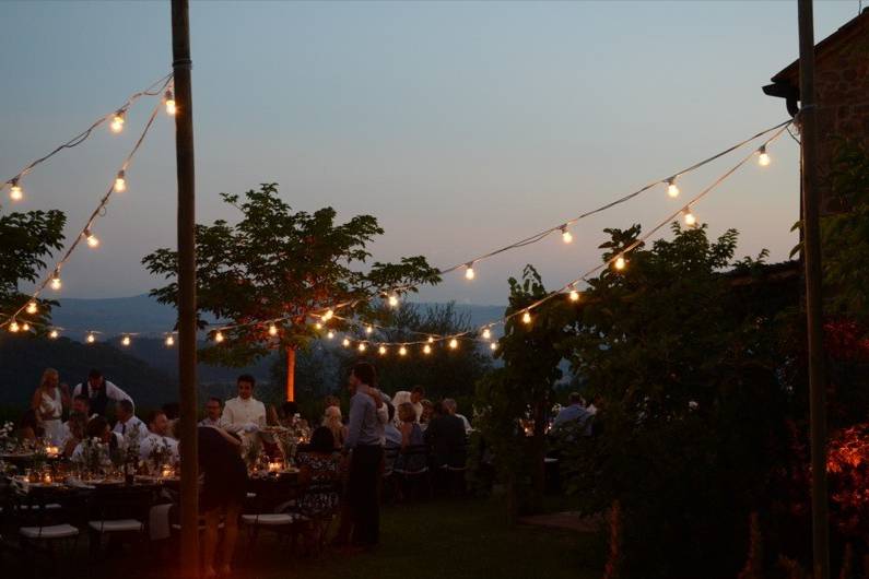 Reception festoon lights