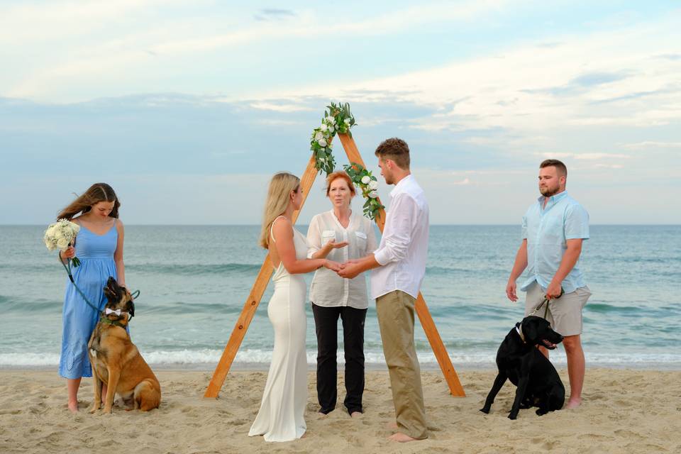 Wedding Knots Tied