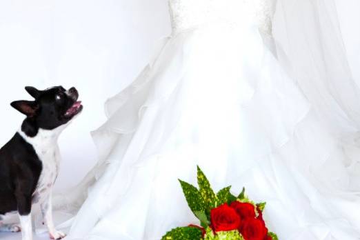 Bride in mermaid tail wedding dress with her French bulldog