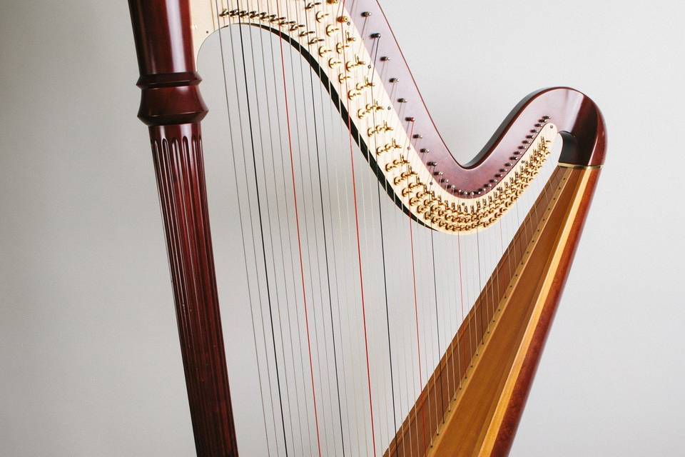 Jessica Gallo - Harpist