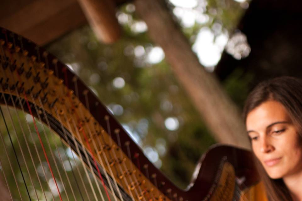 Jessica Gallo - Harpist