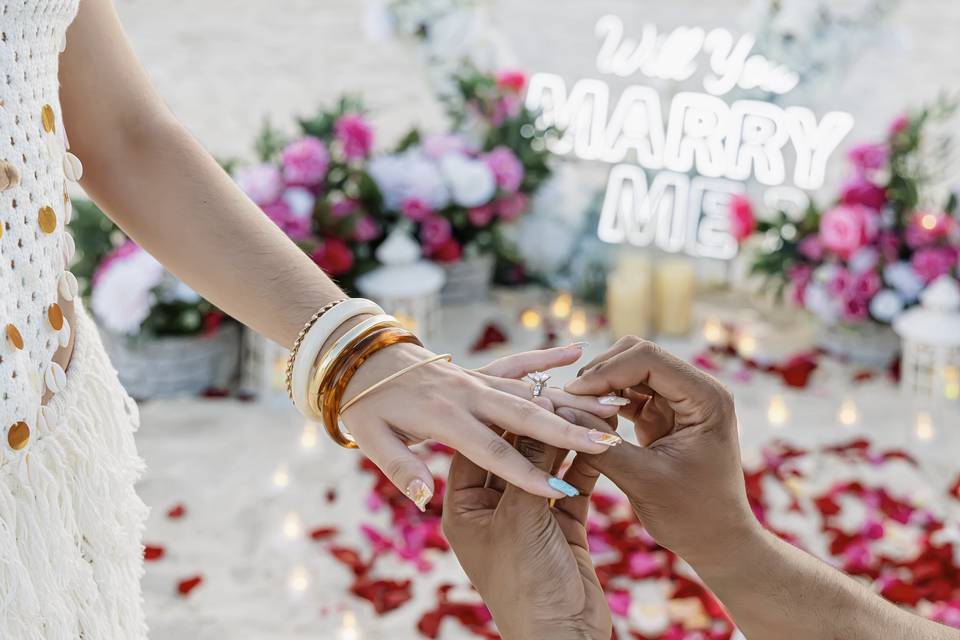 Proposal