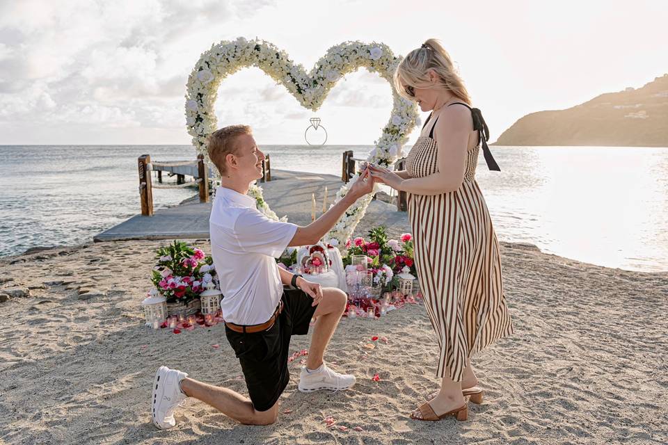 Proposal