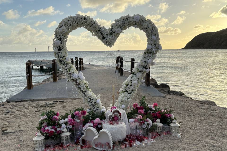 Proposal set up