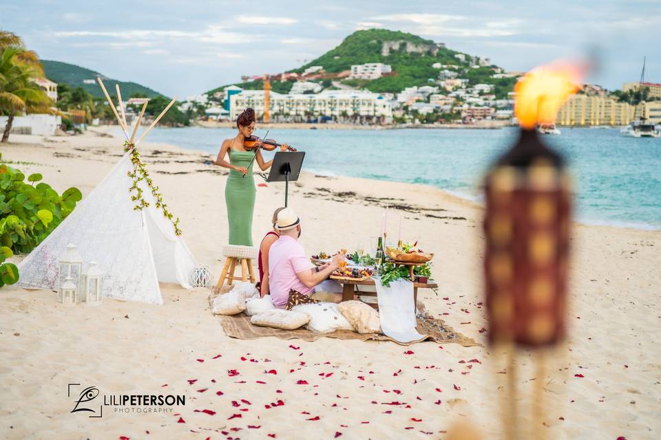 Luxury Picnic Proposal