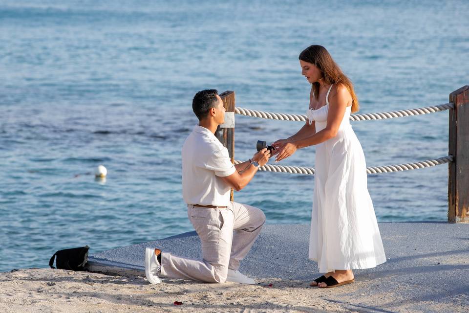 Beautiful Proposal