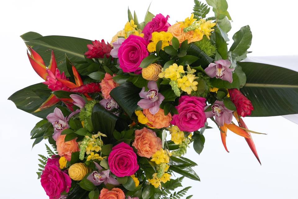 Beautiful Tropical Arch Flower