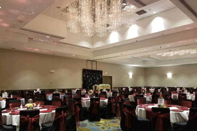 Wedding Reception/Dinner
