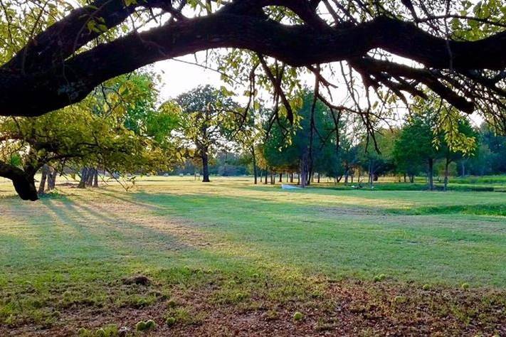 Wildflower Wedding Venue - Barn & Farm Weddings - Emory, TX - WeddingWire