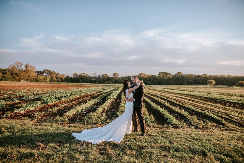 Outdoor Wedding