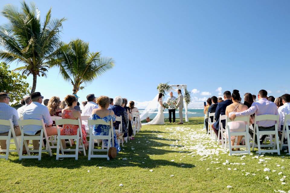 Love at Loulu Palms