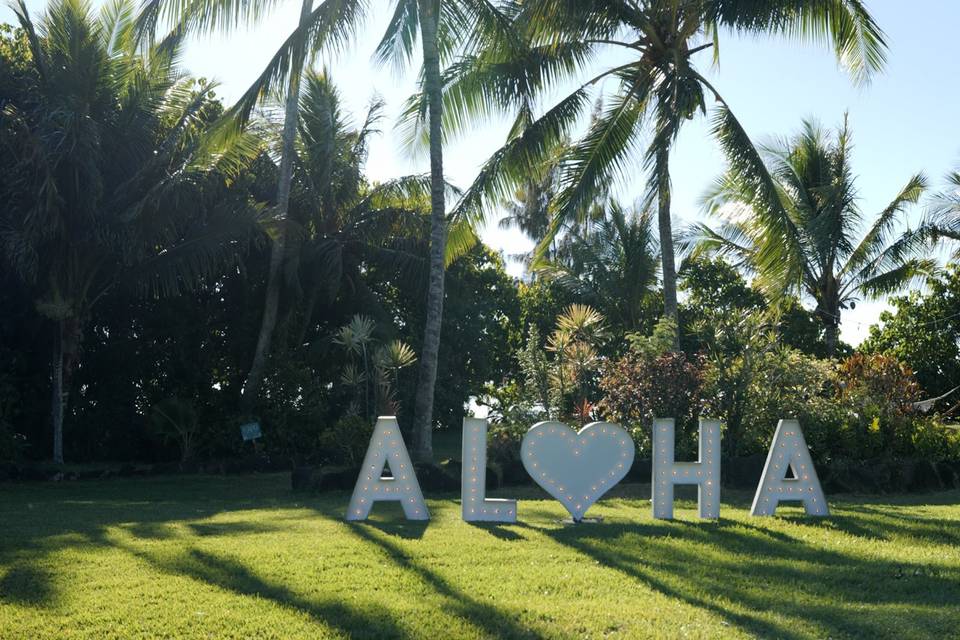 Aloha Sign at Loulu Palms