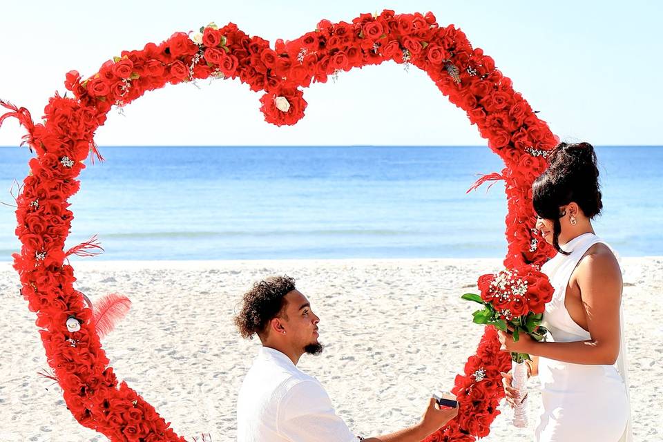 Proposal
