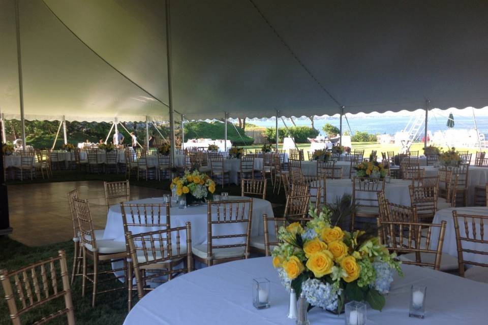 Apex Tent Rental