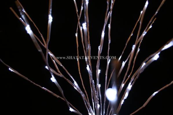 LED Branch