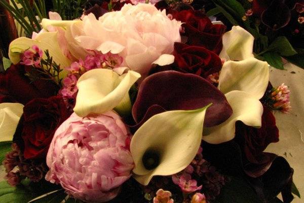 Peony, calla lily