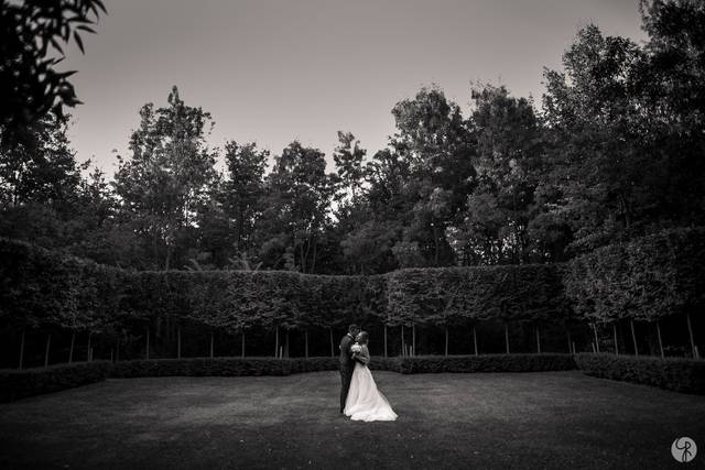 Ricca Wedding Stories