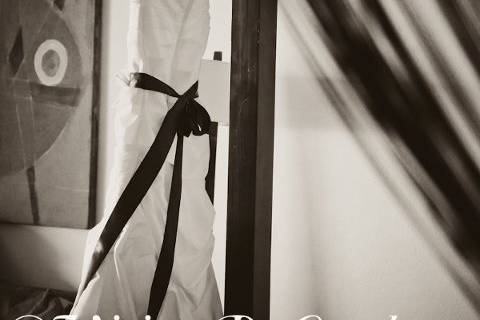 Visions By Carol Photography