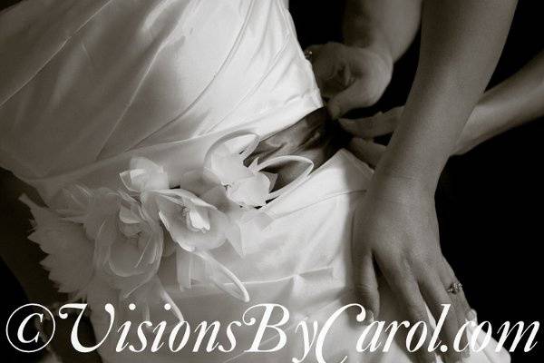 Visions By Carol Photography